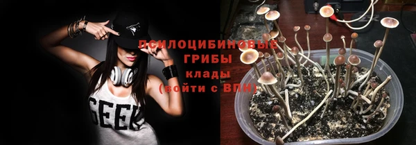 первитин Няндома