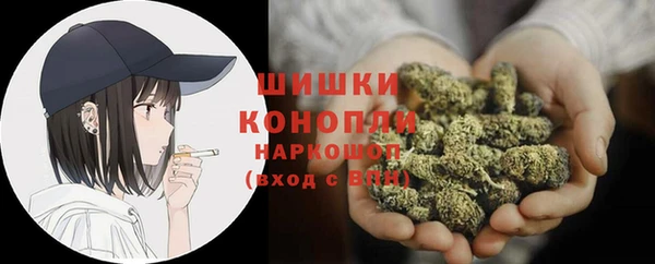 сатива Нязепетровск