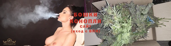 первитин Няндома