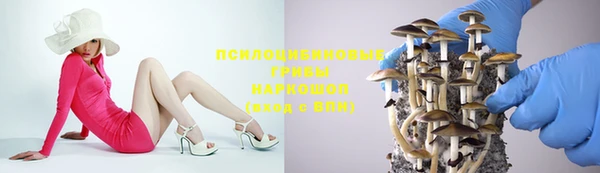 МДПВ Чегем