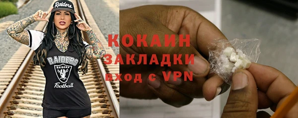 первитин Няндома